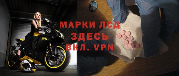стаф Арсеньев