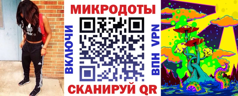 Псилоцибиновые грибы Psilocybine cubensis  Калининск 